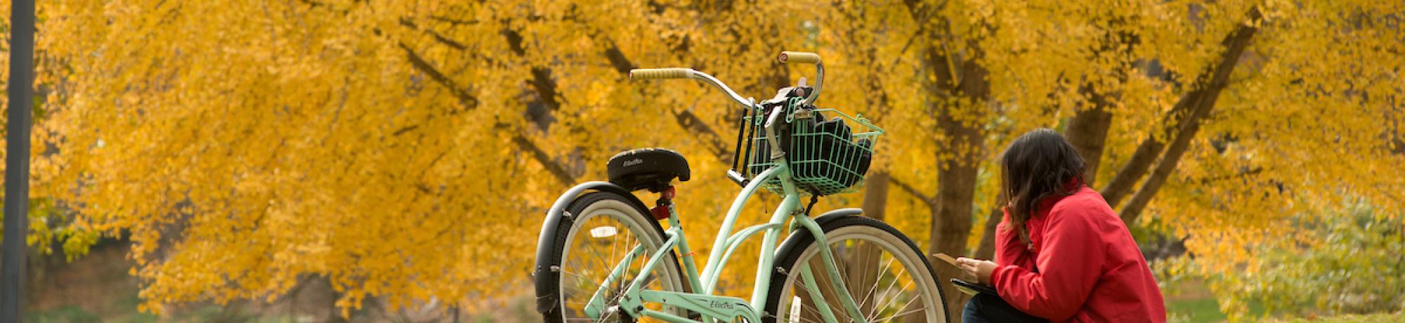 Bike with fall foliage